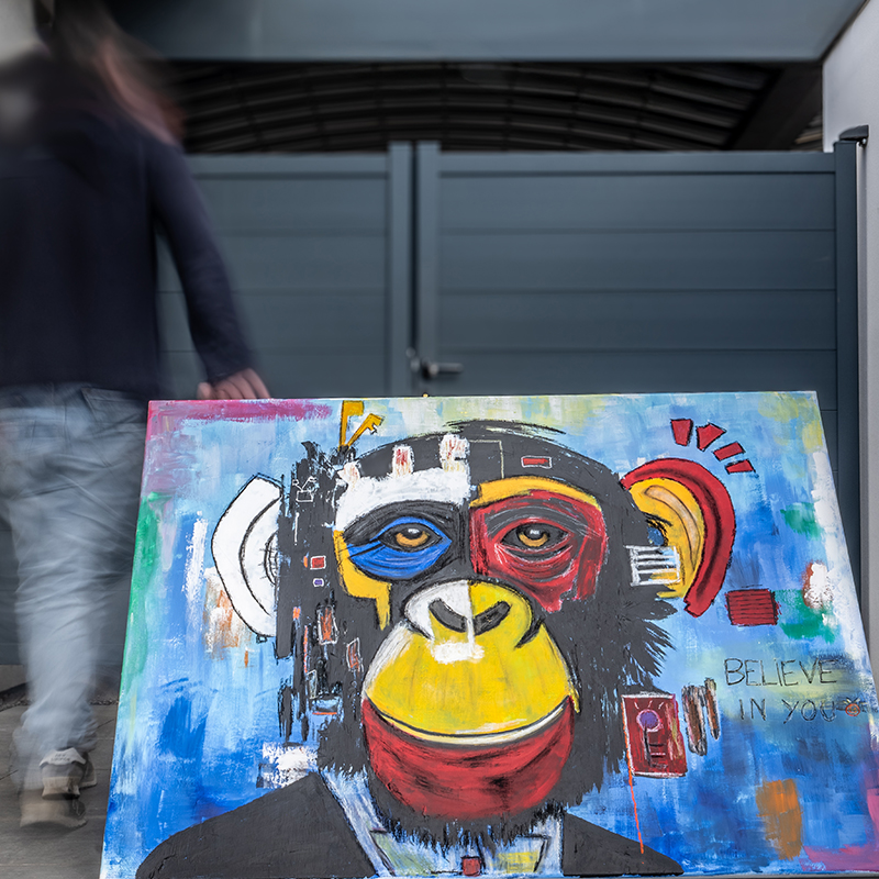 BELIEVE - série Monkey - Fabien Valour