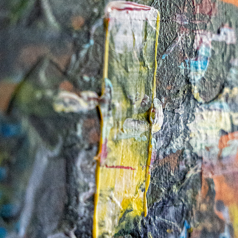 Tableau LifeTime - série Monkey - Fabien Valour